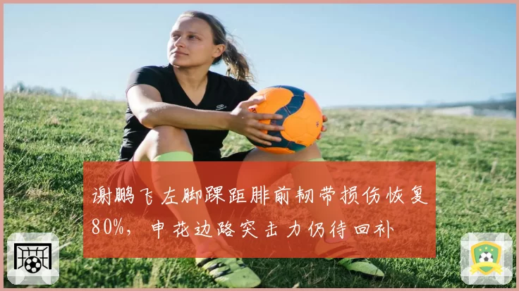 谢鹏飞左脚踝距腓前韧带损伤恢复80%，申花边路突击力仍待回补