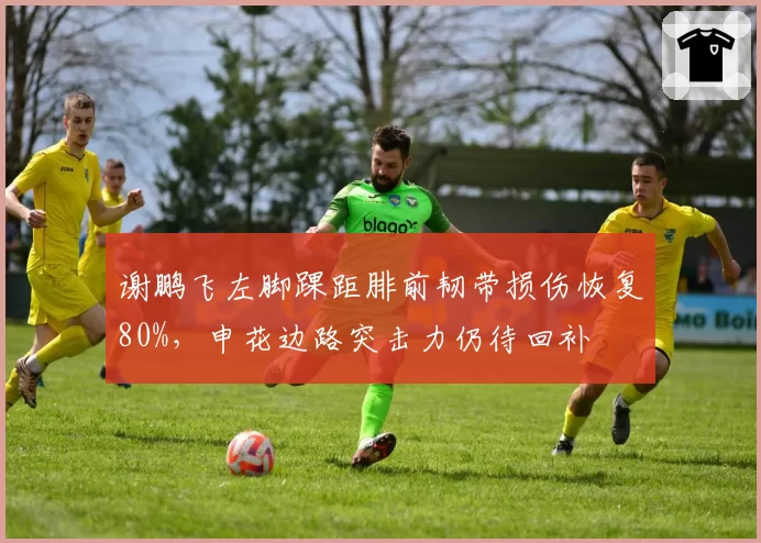 谢鹏飞左脚踝距腓前韧带损伤恢复80%，申花边路突击力仍待回补