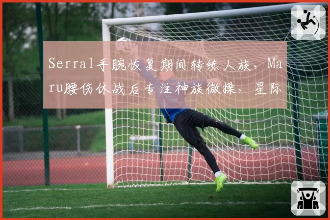 Serral手腕恢复期间转练人族，Maru腰伤休战后专注神族微操，星际争霸伤停期策略分化